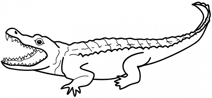 imagini de colorat aligator